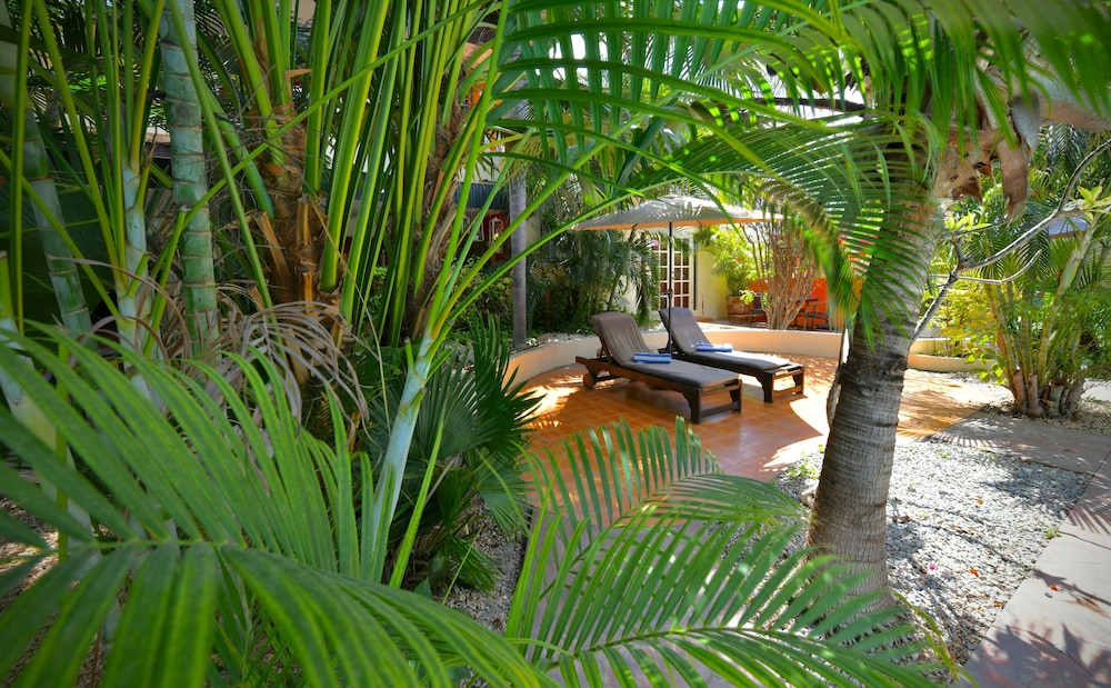 Wonders Boutique Hotel - Adults Only — Hotel building in Oranjestad, Aruba