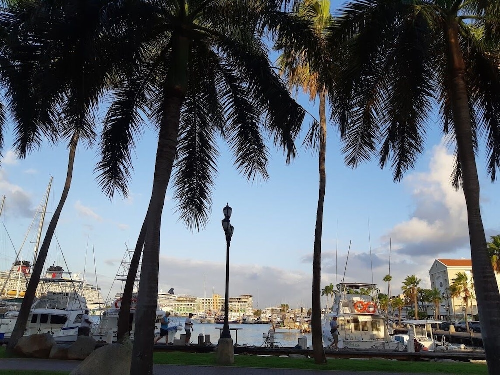 Wonders Boutique Hotel - Adults Only — Attractions in the area in Oranjestad, Aruba
