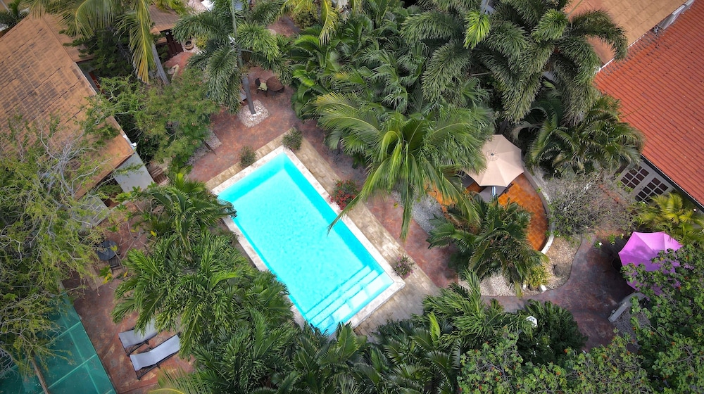 Wonders Boutique Hotel - Adults Only — Swimming pool in Oranjestad, Aruba
