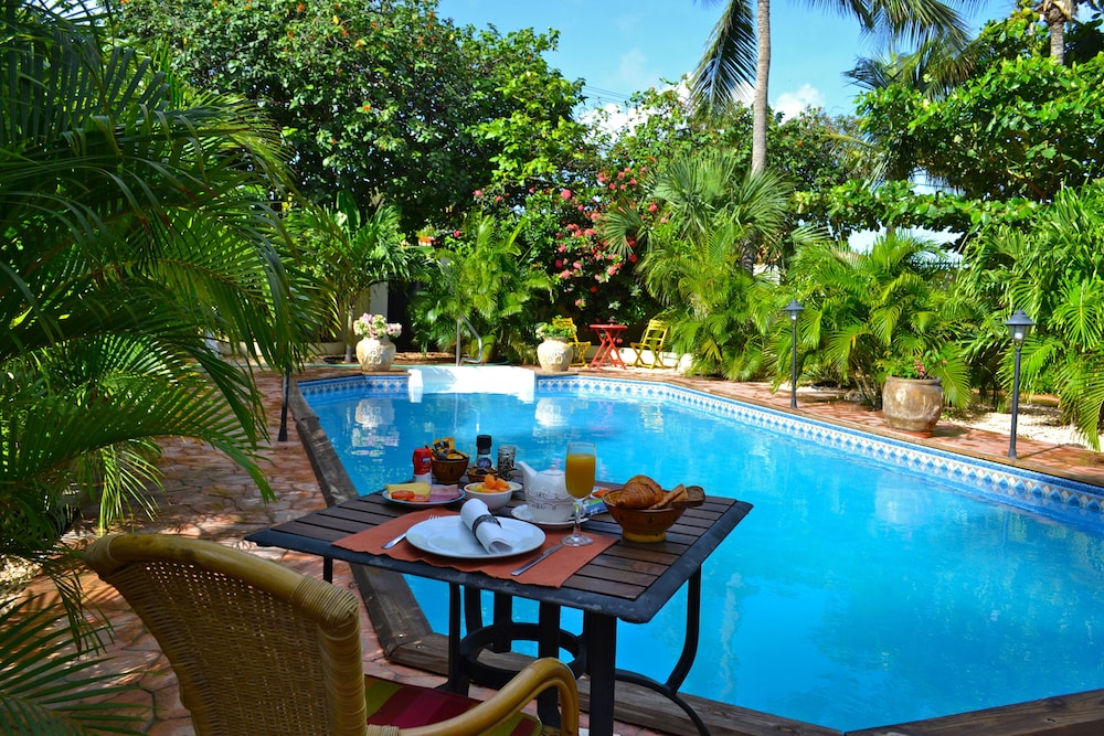 Wonders Boutique Hotel - Adults Only — Swimming pool in Oranjestad, Aruba