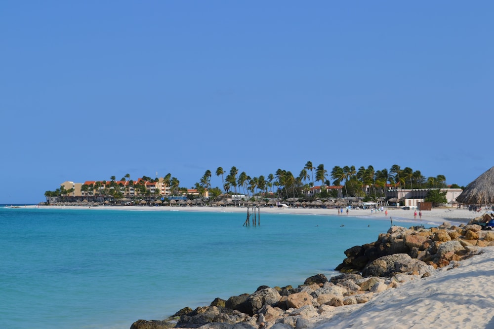 Wonders Boutique Hotel - Adults Only — Beach in Oranjestad, Aruba