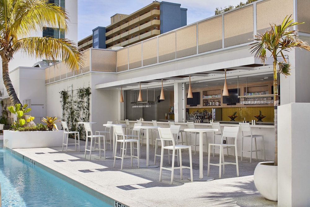 The Sarasota Modern, a Tribute Portfolio Hotel — Restaurant & bars in Sarasota, Florida