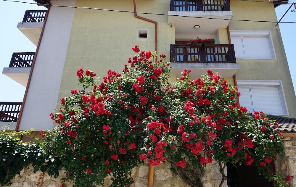 Margarita — Attractions in the area in Varna, Varna Region