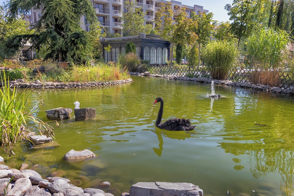 Cascadas Family Resort — Attractions in the area in Sunny Beach, Burgas Region