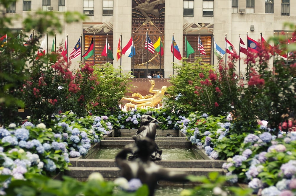 Renaissance New York Chelsea Hotel - zdjęcie 4