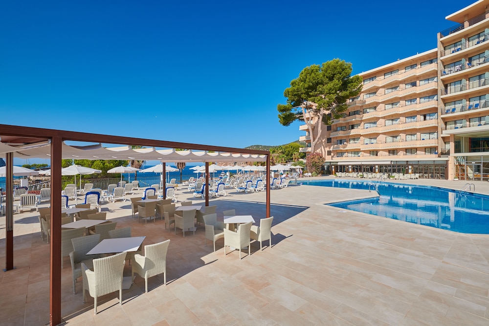 Grupotel Playa Camp de Mar - Adults Only — Swimming pool in Andratx, Balearic Islands