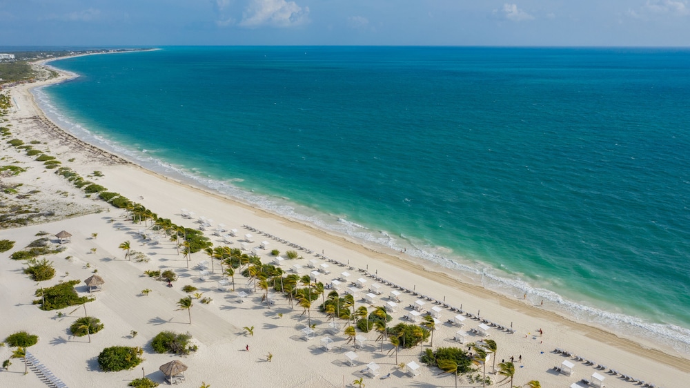 Majestic Elegance Costa Mujeres – All Inclusive — Beach in Playa Mujeres, Quintana Roo