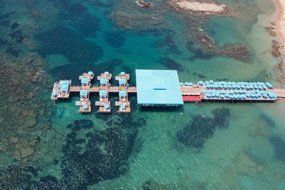 Granada Luxury Beach - All Inclusive — Restaurant & bars in Avsallar
