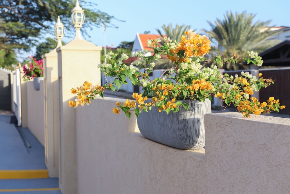 Hotel RH Boutique Aruba — Attractions in the area in Oranjestad, Aruba