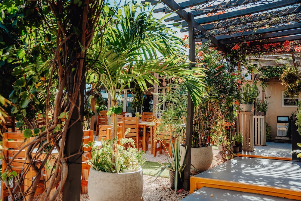 Hotel RH Boutique Aruba — Restaurant & bars in Oranjestad, Aruba