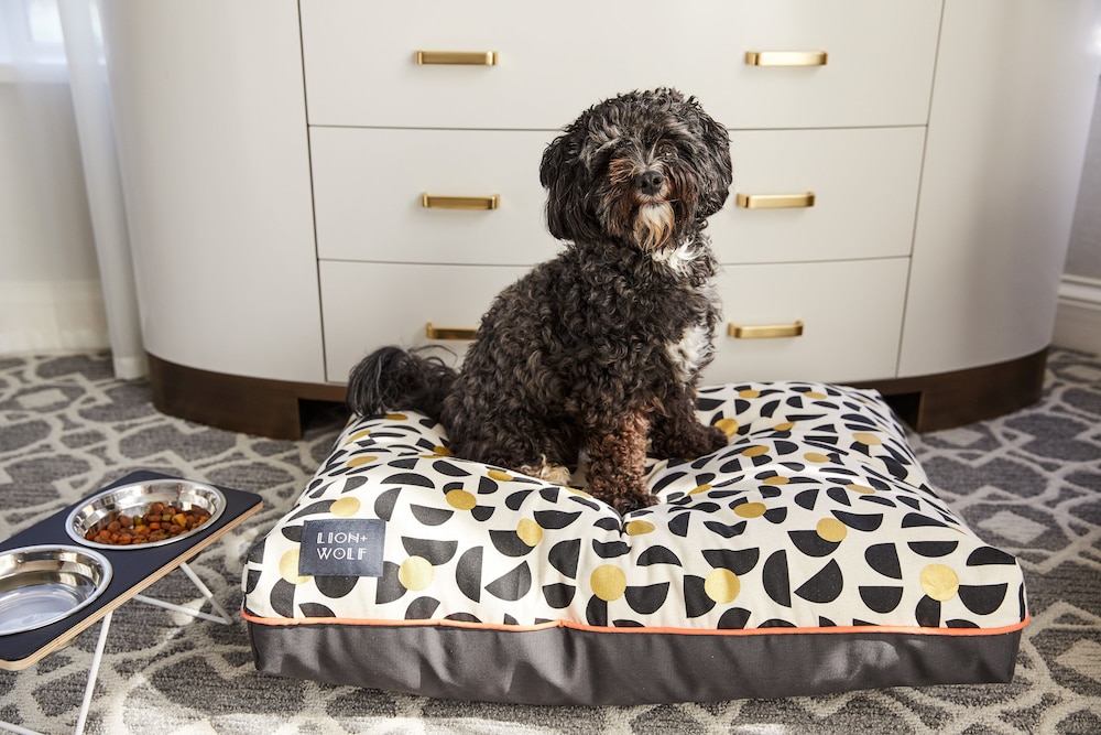 The Whitney Hotel — Hotel rooms in Boston, Massachusetts