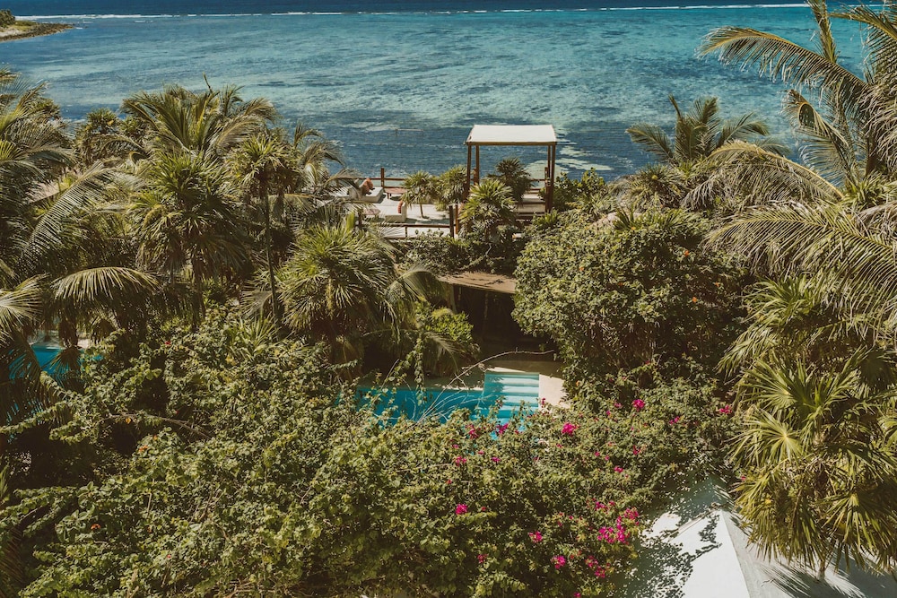 Jashita Hotel — Swimming pool in Tulum, Quintana Roo