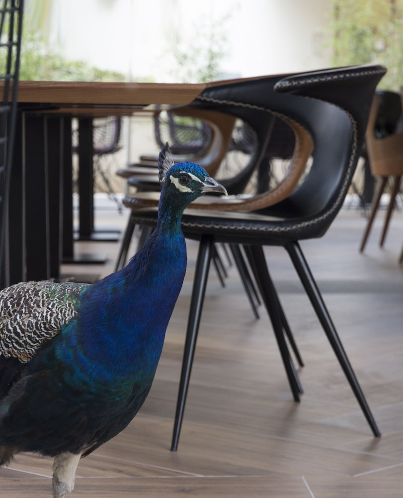 Time Boutique Hotel — Restaurant & bars in Split, Split-Dalmatia