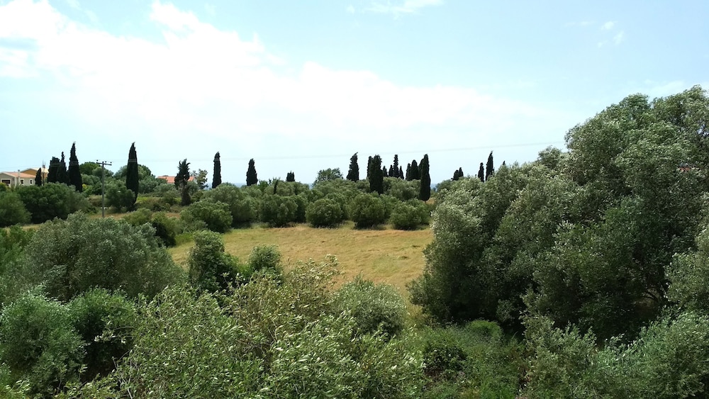 Casa de Rosa Apartments — Attractions in the area in Svoronata, Ionian Islands