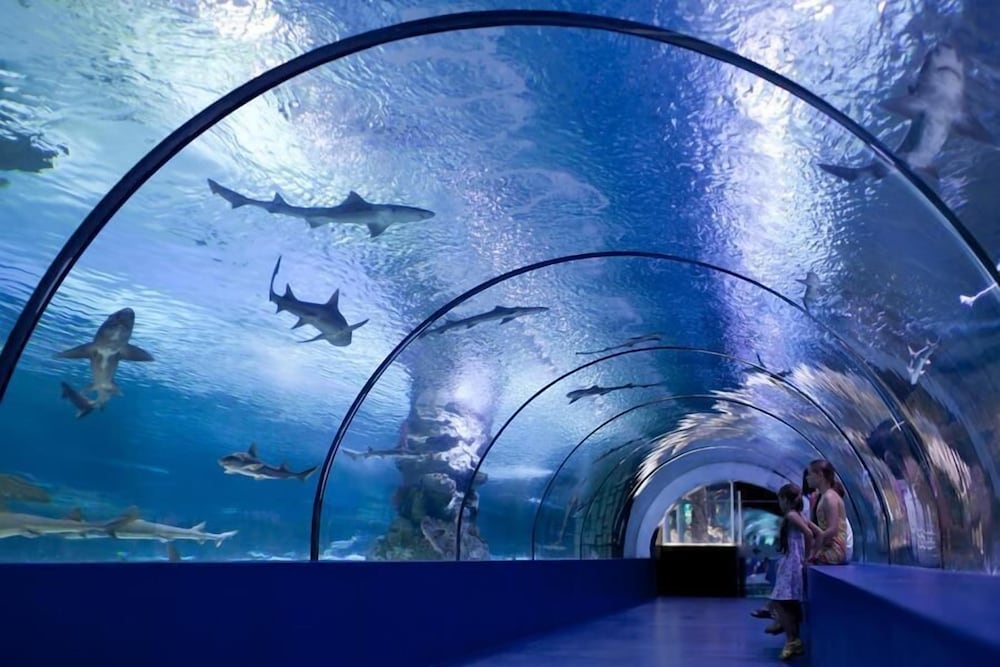 DoubleTree By Hilton Antalya City Centre — Attractions for children in Antalya