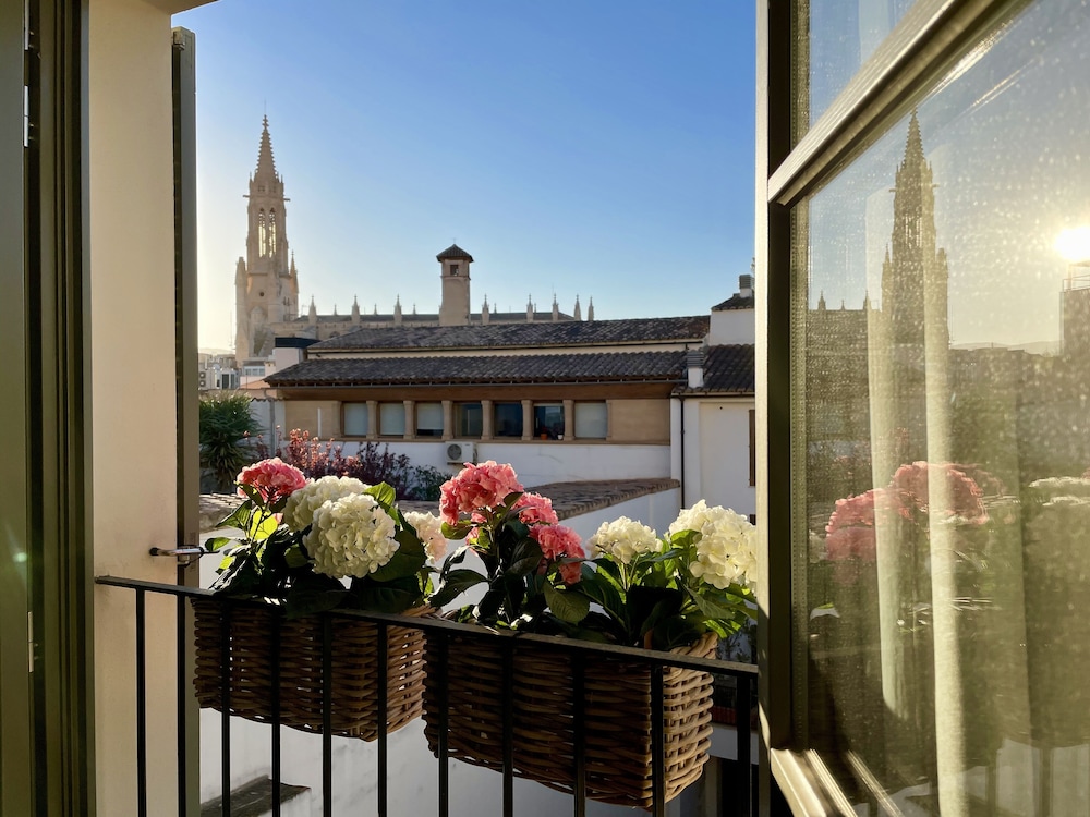 Hotel Basílica — Hotel rooms in Palma de Mallorca, Balearic Islands