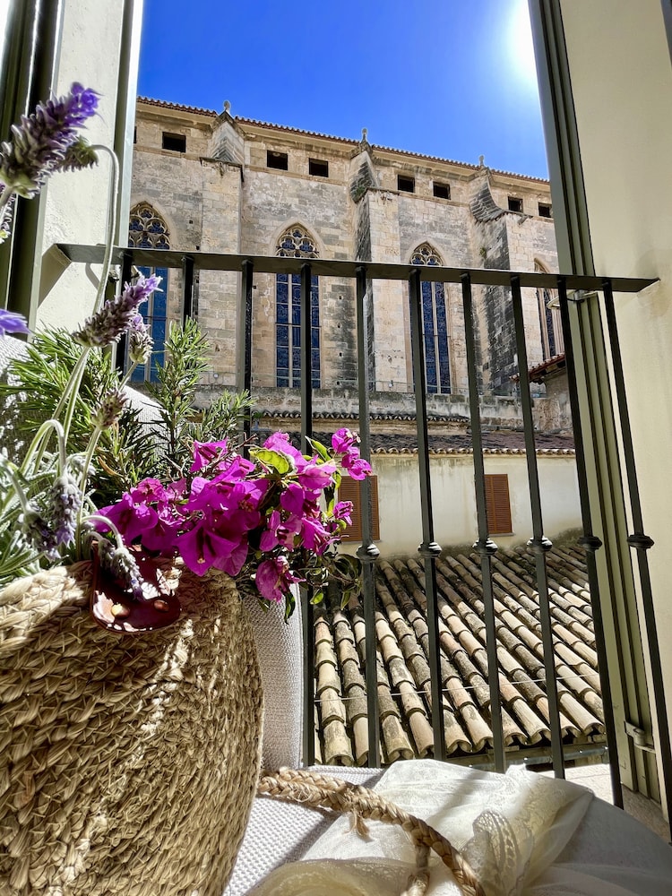Hotel Basílica — Attractions in the area in Palma de Mallorca, Balearic Islands