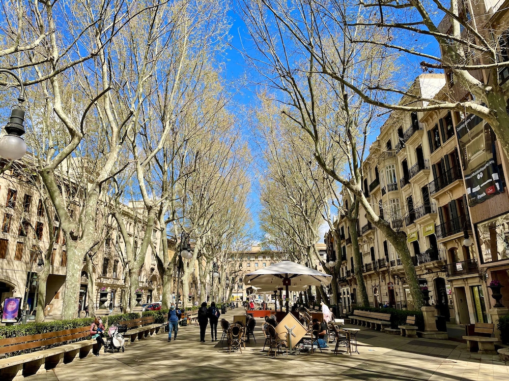 Hotel Basílica — Attractions in the area in Palma de Mallorca, Balearic Islands