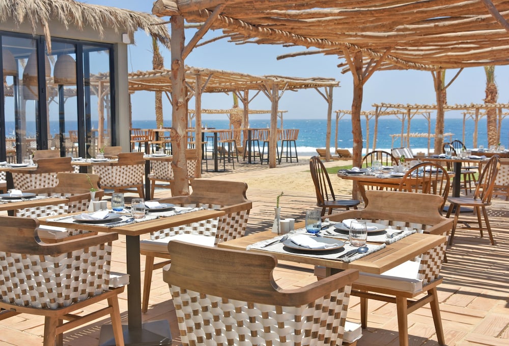 Steigenberger Resort Alaya - Adults Friendly 16 Years Plus — Restaurant & bars in El Quseir, Red Sea