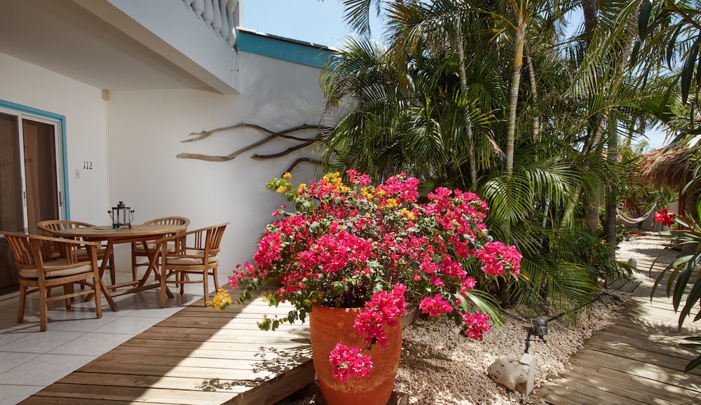 Paradera Park Aruba — Hotel building in Paradera, Aruba