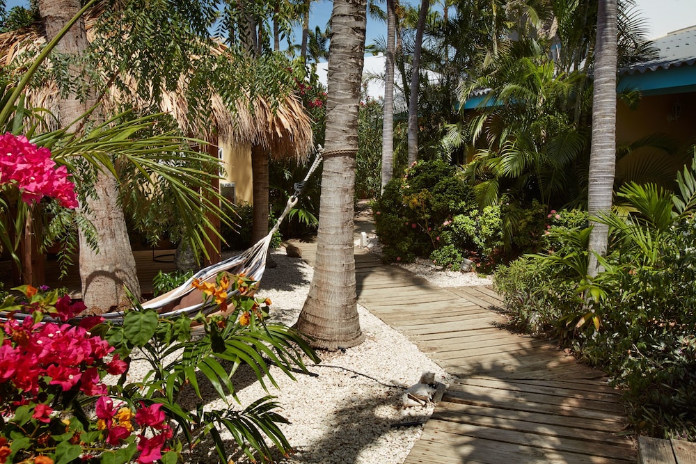 Paradera Park Aruba — Hotel building in Paradera, Aruba