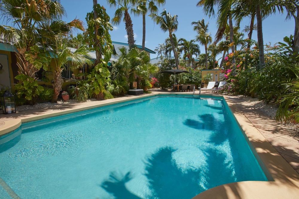 Paradera Park Aruba — Swimming pool in Paradera, Aruba