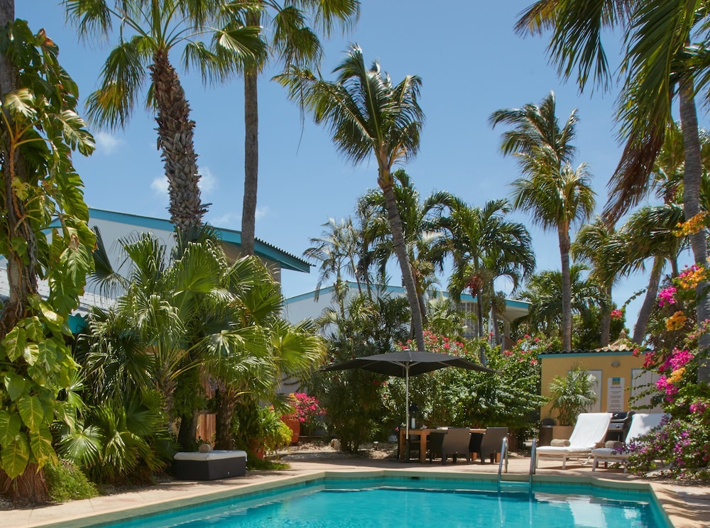 Paradera Park Aruba — Swimming pool in Paradera, Aruba