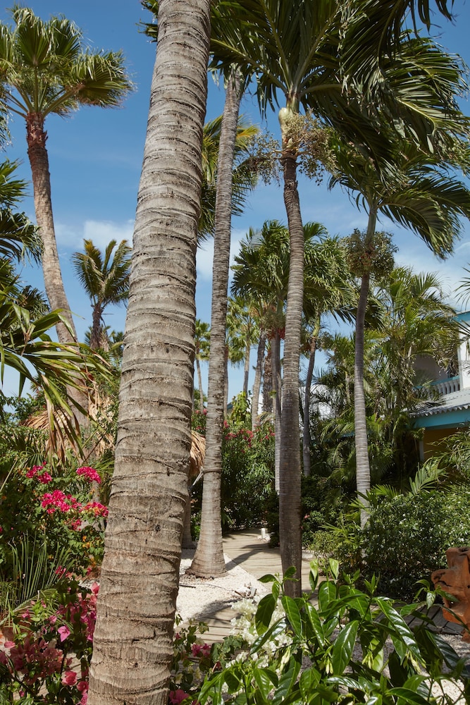 Paradera Park Aruba — Hotel building in Paradera, Aruba