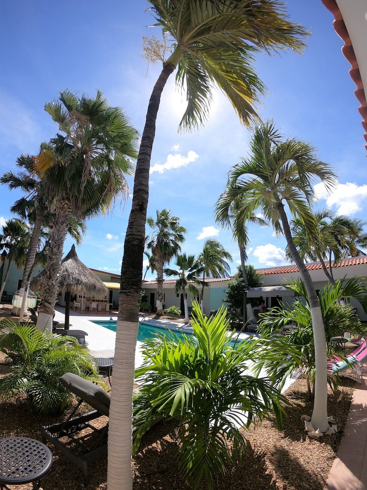 Arubiana Inn — Swimming pool in Noord, Aruba