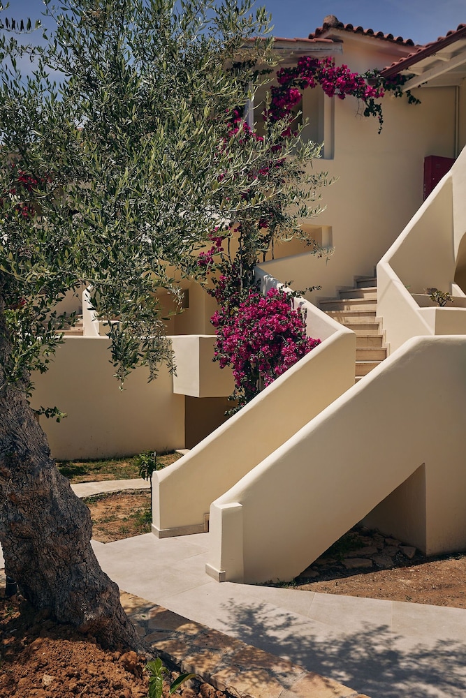 Tsamis Zante Suites - Adults Only — Hotel building in Tsilivi, Ionian Islands