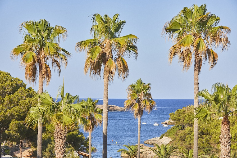 Hotel Rocamarina - Adults Only — Attractions in the area in Cala d´Or, Balearic Islands