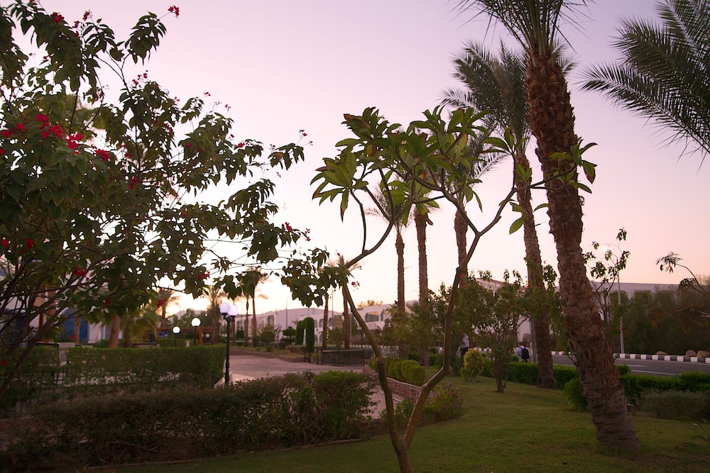Naama Blue hotel — Hotel building in Sharm El Sheikh, Red Sea