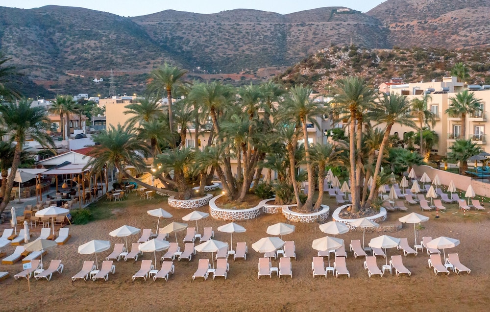 Zeus Hotels Palm Beach — Beach in Stalida