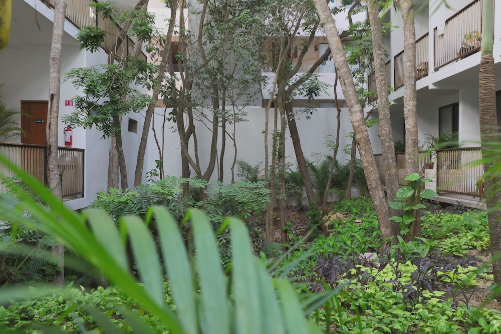 Living Bloom, Concept Hotel — Hotel building in Tulum, Quintana Roo
