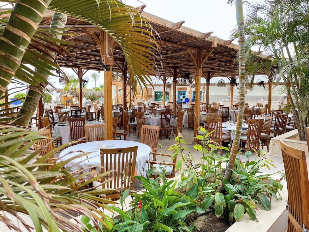 The Breakers Diving & Surfing Lodge — Restaurant & bars in Soma Bay, Red Sea