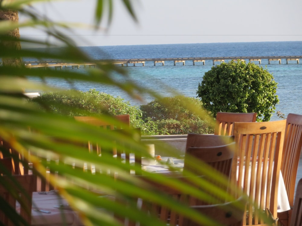 The Breakers Diving & Surfing Lodge — Restaurant & bars in Soma Bay, Red Sea