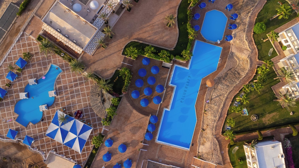 Club Reef Resort & Spa — Swimming pool in Sharm El Sheikh, Red Sea