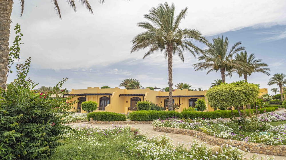 Blend Elphistone Resort - All inclusive — Hotel building in Marsa Alam, Red Sea