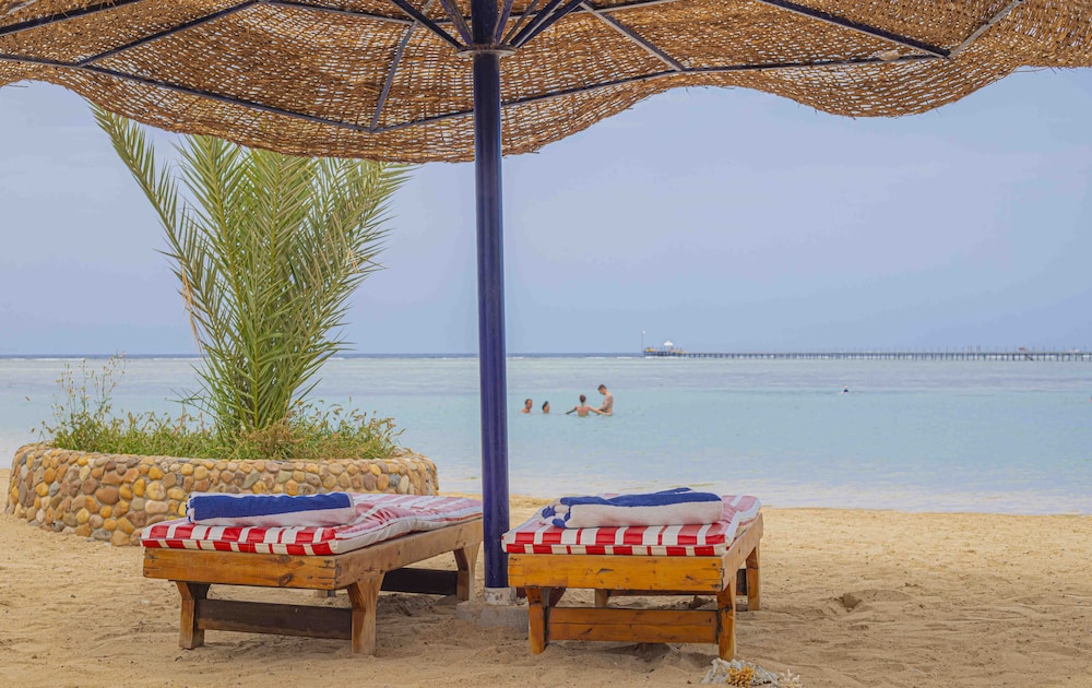 Blend Elphistone Resort - All inclusive — Beach in Marsa Alam, Red Sea