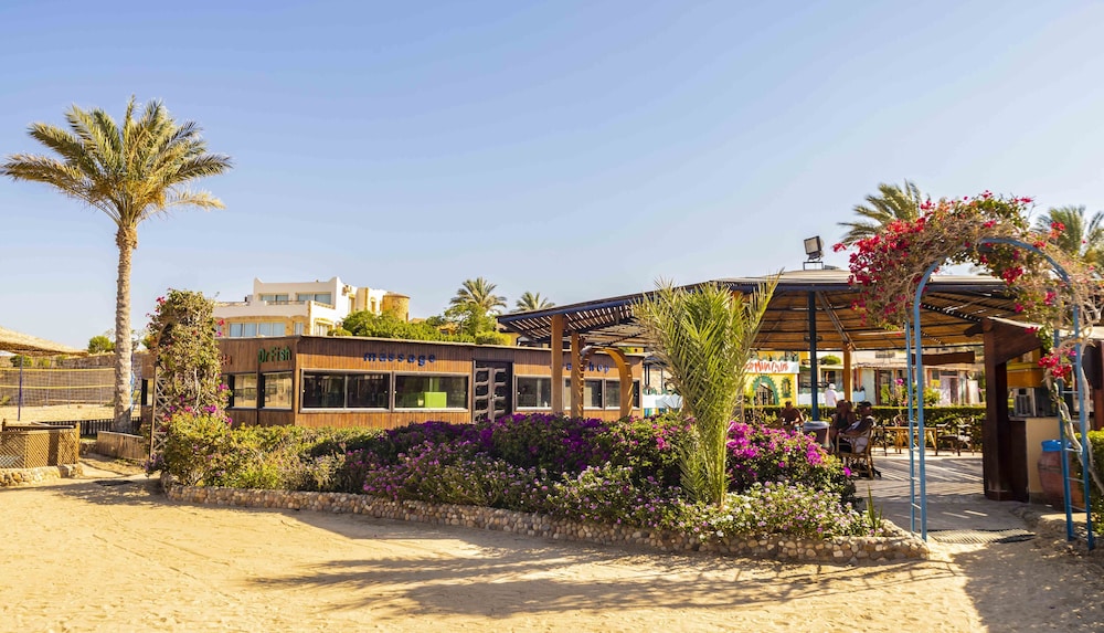 Blend Elphistone Resort - All inclusive — Spa in Marsa Alam, Red Sea