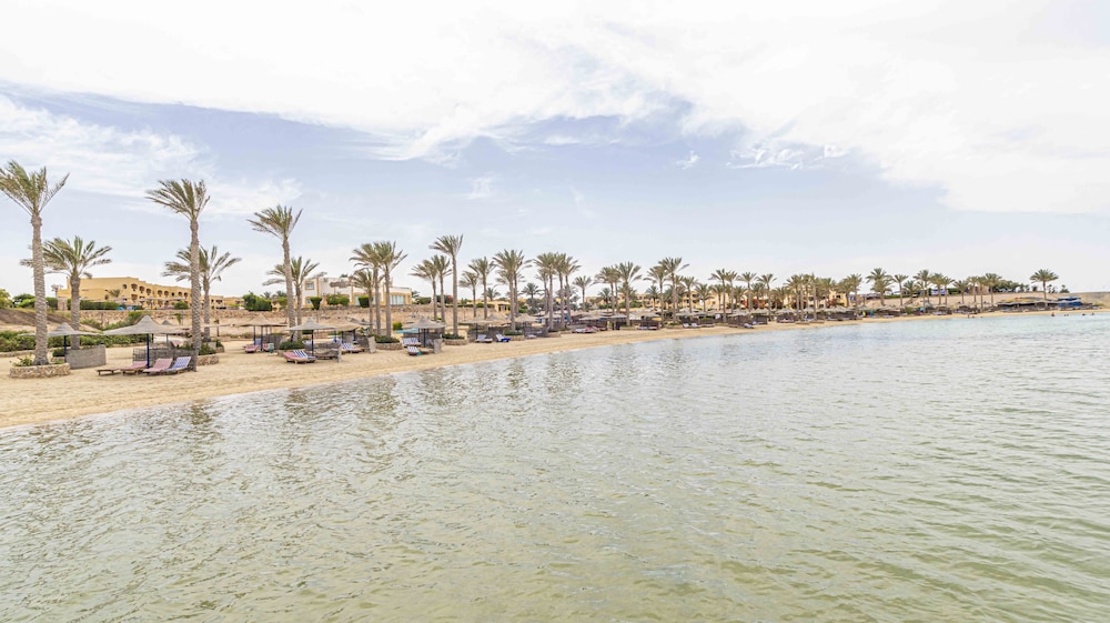 Blend Elphistone Resort - All inclusive — Beach in Marsa Alam, Red Sea