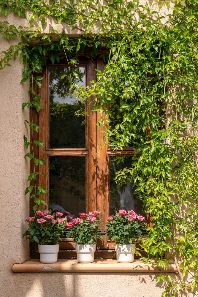 Hotel Can Joan Capó - Adults Only - zdjęcie 5
