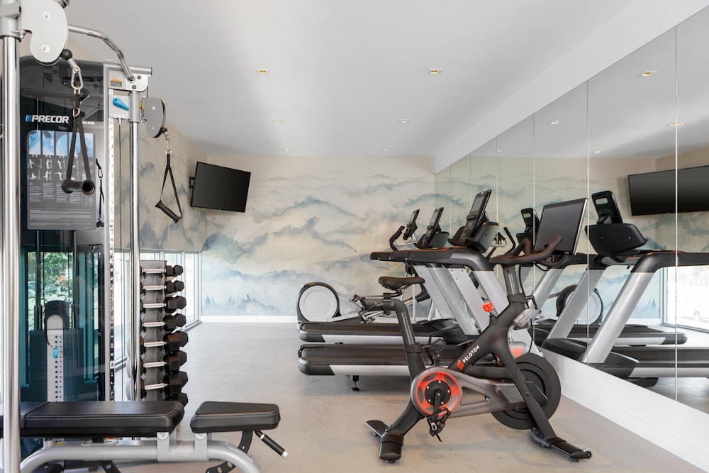 Kimpton Hotel Palomar South Beach by IHG — Sports & recreation in Miami, Florida