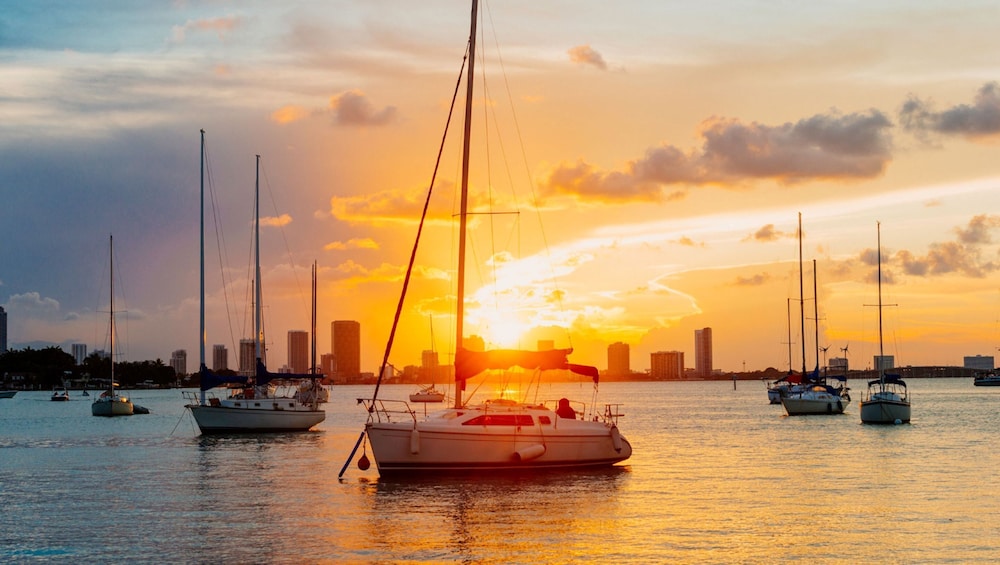 Kimpton Hotel Palomar South Beach by IHG — Beach in Miami, Florida