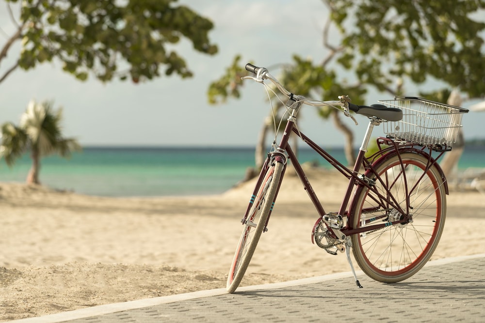 Kimpton Hotel Palomar South Beach by IHG — Beach in Miami, Florida