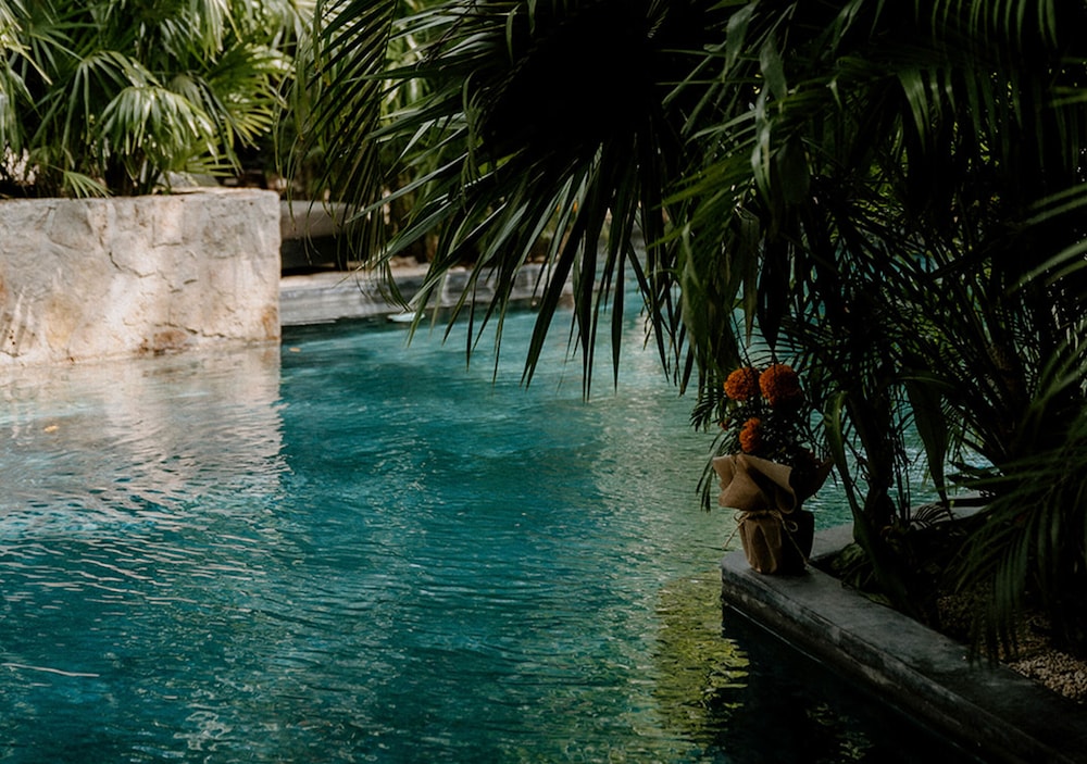 Hotel Bardo Adults Only — Swimming pool in Tulum, Quintana Roo