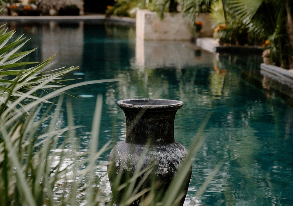 Hotel Bardo Adults Only — Swimming pool in Tulum, Quintana Roo