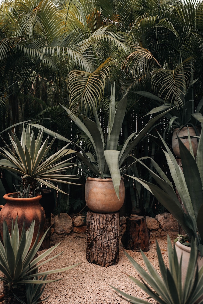 Hotel Bardo Adults Only — Attractions in the area in Tulum, Quintana Roo