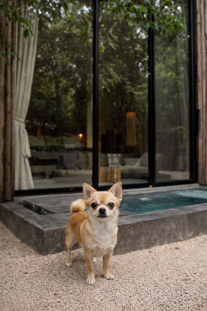 Hotel Bardo Adults Only — Hotel building in Tulum, Quintana Roo