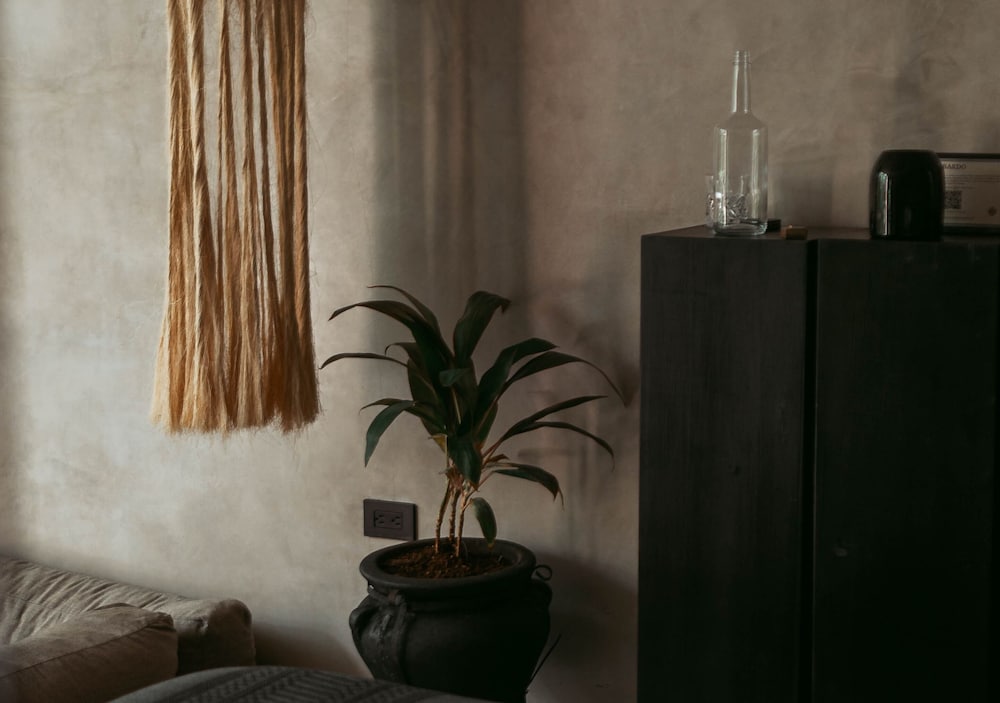 Hotel Bardo Adults Only — Hotel rooms in Tulum, Quintana Roo